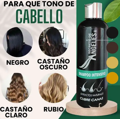 Shampoo Cubre Canas + Colágeno y Exfoliante GRATIS